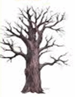 06032qgn-e495-250x325.png