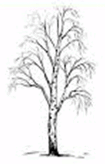 06032qgx-90e3-205x321.png