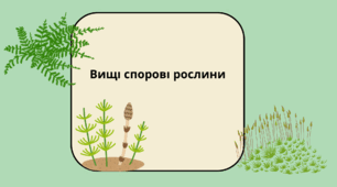 Вищі спорові рослини