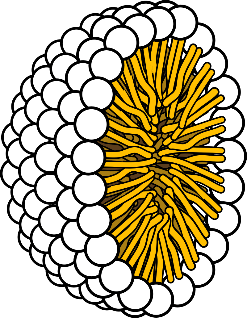 06032s7a-369a-800x1030.png