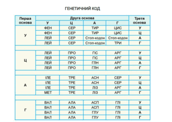 06032vln-9aa7-336x239.png