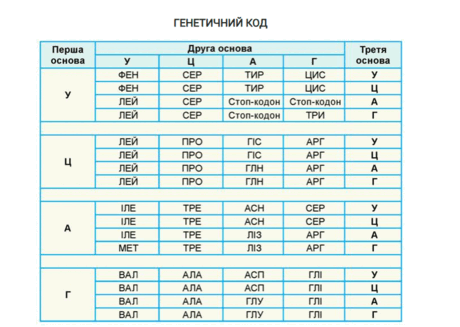 06032vn3-2367-460x327.png