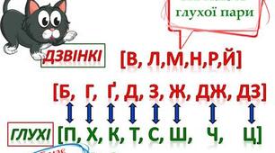 Приголосні тверді й м'які, дзвінкі й глухі. Вимова приголосних у корені слова