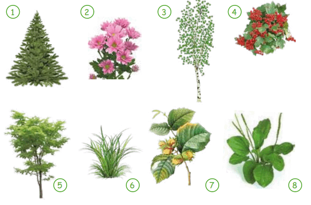 060332nb-5da1-630x416.png