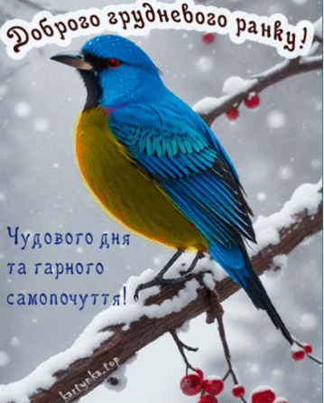 060332xz-2028-359x446.png