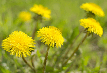 060333h3-f9fb-347x238.png