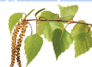 060335j7-50ab-190x139.png