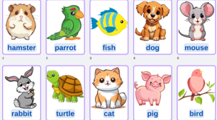 Флешкартки "My pets " для 1 класу