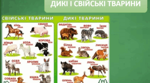 Презентація. Дикі і свійські тварини.