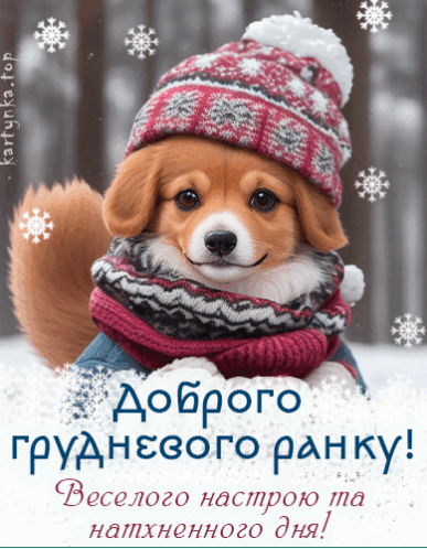 060335sc-9ccf-387x498.png