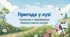 Розвиток навичок читання "Пригода у лузі"(читаємо з тваринами)