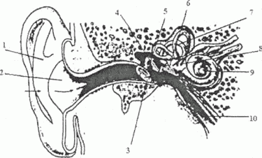 06033b2e-8768-375x226.png