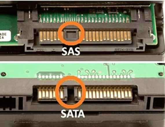 06033br8-771a-570x438.png