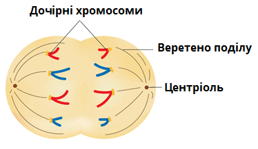 06033dwa-4569-374x217.png