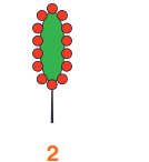 06033e6o-b331-134x146.png