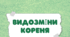 Флеш - картки "Видозміни кореня"