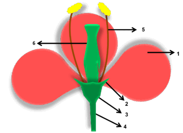 06033i7i-6698-358x260.png