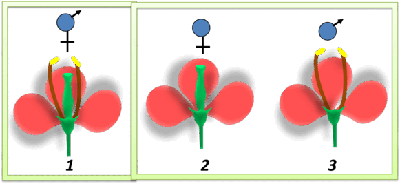 06033imj-56f9-581x270.png