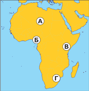 06033jym-54d5-352x360.png