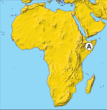 06033jzf-fcae-349x359.png