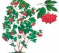 06033kp9-54bb-200x182.png