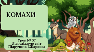 Презентація до уроку Я досліджую світ 3 клас "Комахи"