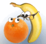 06033mo9-a0dd-96x91.png