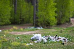 06033oq7-b4e4-261x174.jpg