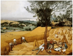 06033pbw-b216-252x193.png