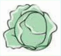 06033rl5-a45c-213x196.png