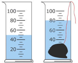 06033sfs-54c7-276x221.png
