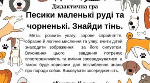 Дидактична гра "Песики маленькі руді та чорненькі. Знайди тінь."