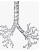 06033tlc-6750-188x241.png