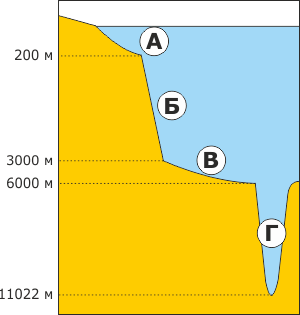 06033tlo-5f3a-300x315.png