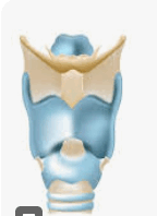 06033tnu-acd0-171x235.png