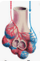 06033tog-bcd3-165x248.png
