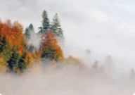 06033umy-6940-249x176.png