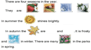 Seasons and weather