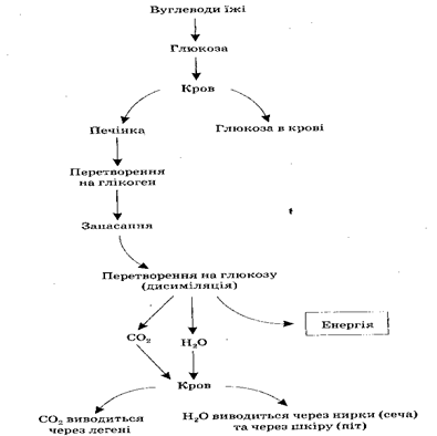 06033ysb-e92f-395x394.png
