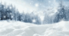 06033z76-7ef3-241x125.png