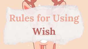 Grammar Workbook  "I Wish"