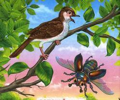 060342qu-9c3c-249x206.jpg
