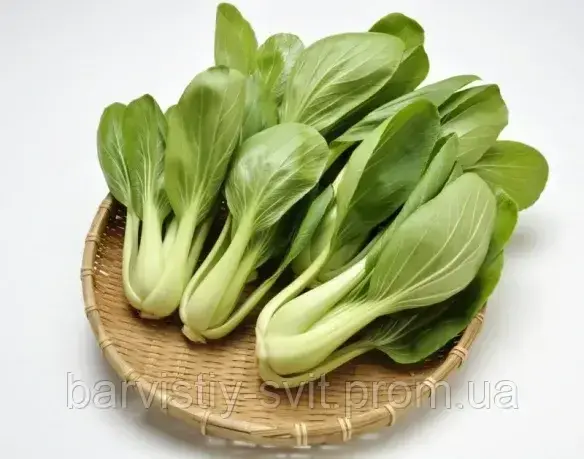 060346oa-e0a1-584x459.webp