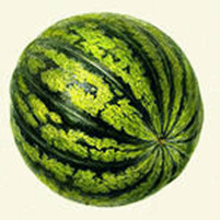 060347ut-ca8d-201x201.png