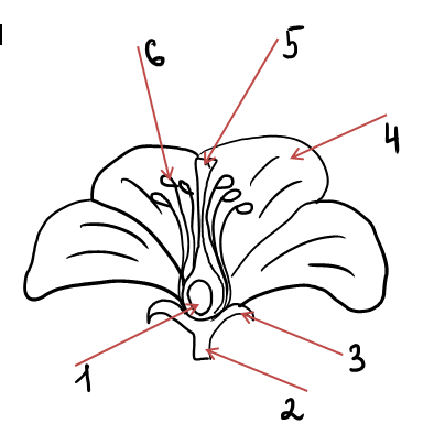 060349pf-481a-404x404.png