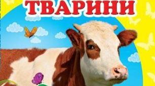 Конспект дидактичної гри для старшої групи «Свійські тварини»