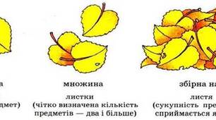 Рід і число іменників