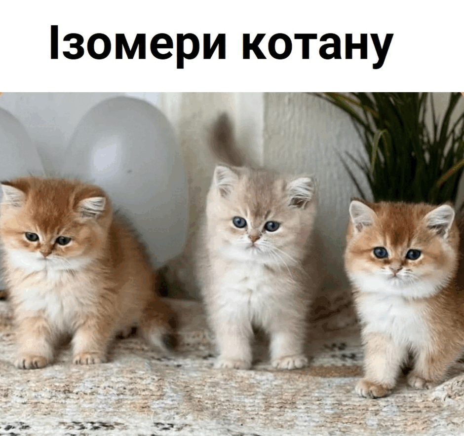 06034dqa-f6e7-940x884.png