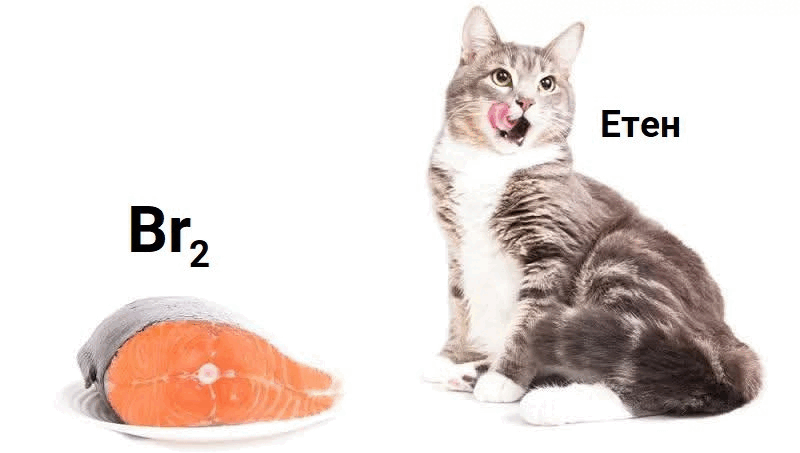 06034dqe-abfd-800x453.png