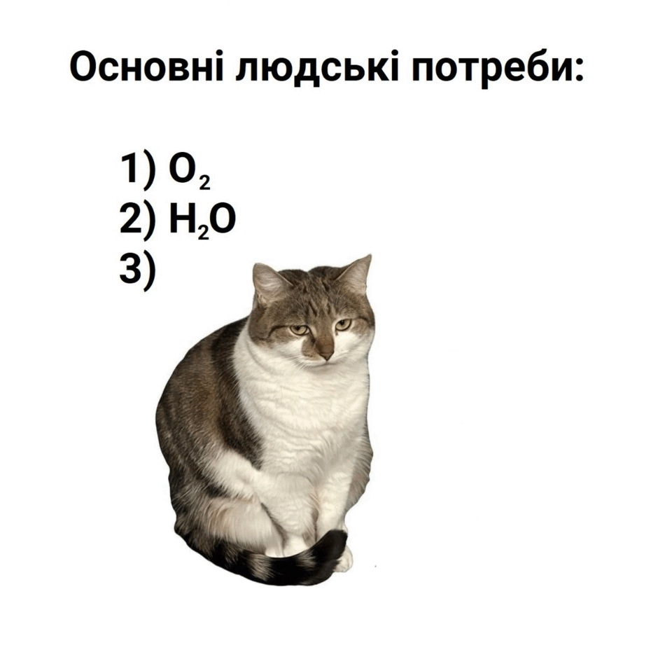 06034dy3-806b-940x948.png